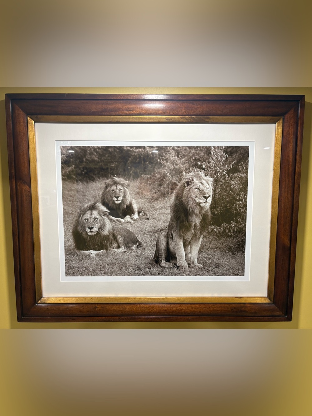 2x Trowbridge framed art pictures